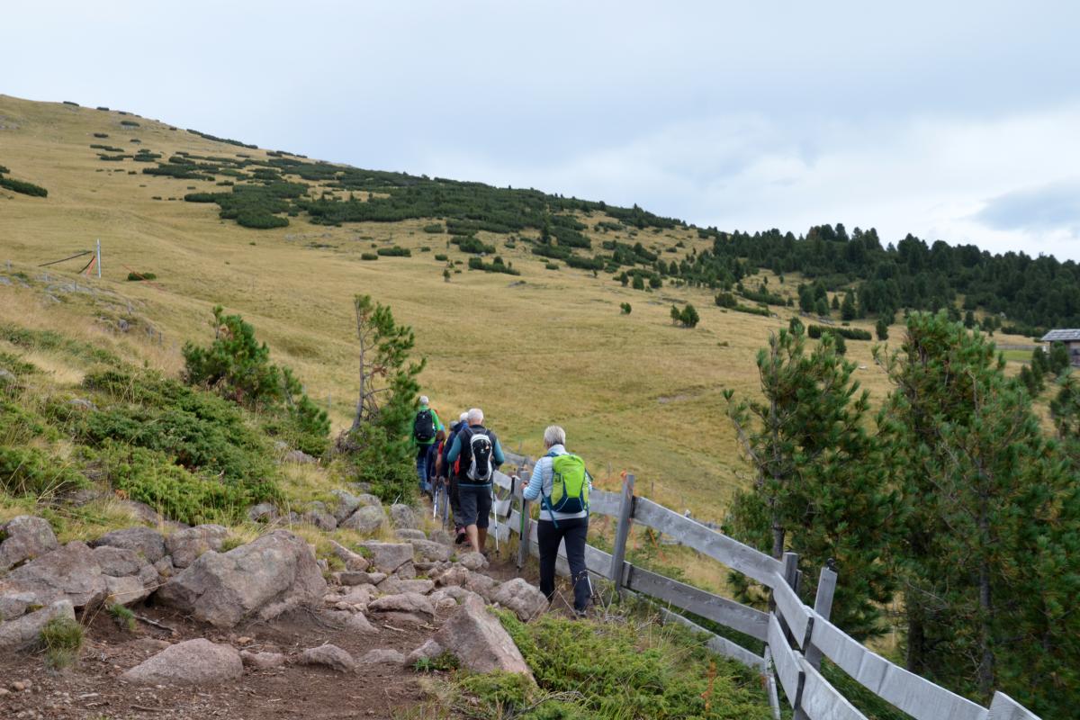 Platzer Alm 20.08.2022